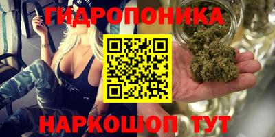 прущая мука Можайск