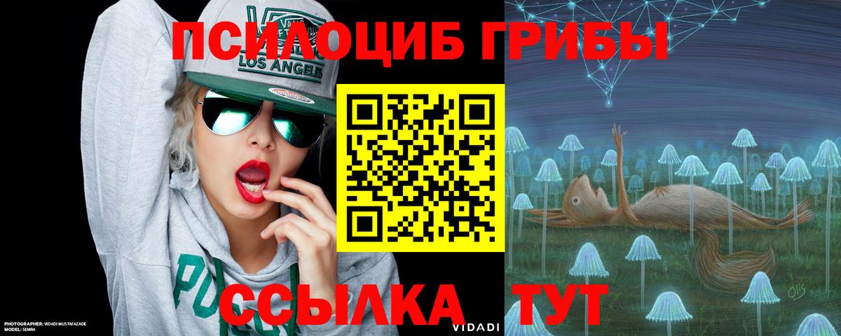 Славгород  Псилоцибиновые грибы ЛСД  Псилоцибиновые грибы MAGIC MUSHROOMS  где найти   Вход с VPN 